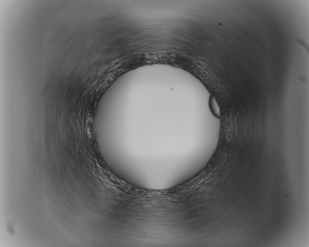 X0000102510770200808081006