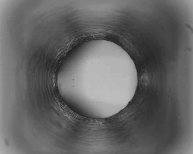 X0000102510772200808081006