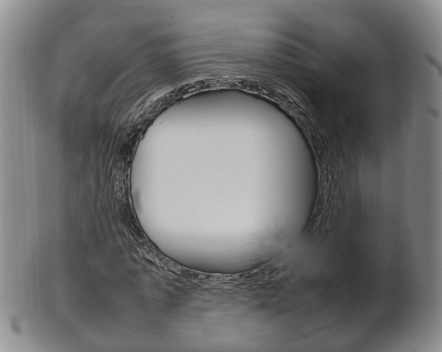 X0000102510773200808081006
