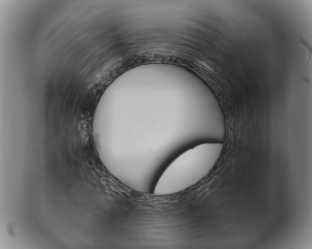 X0000102510774200808081006