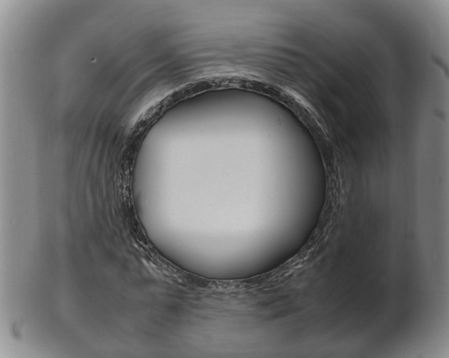 X0000102510775200808081006