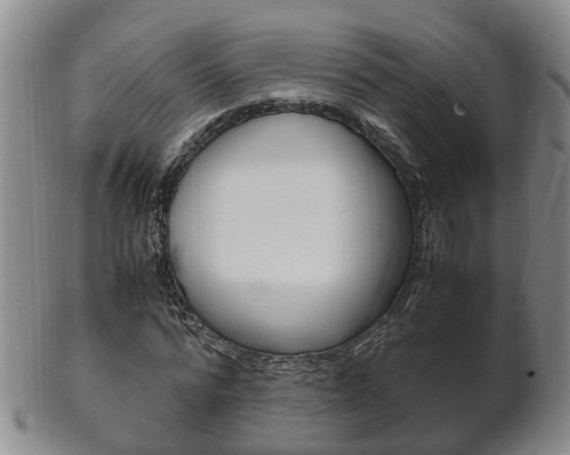 X0000102510776200808081006