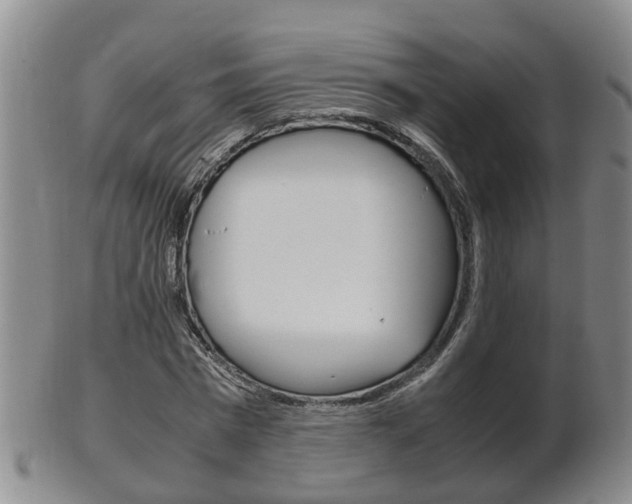X0000102510777200808081006