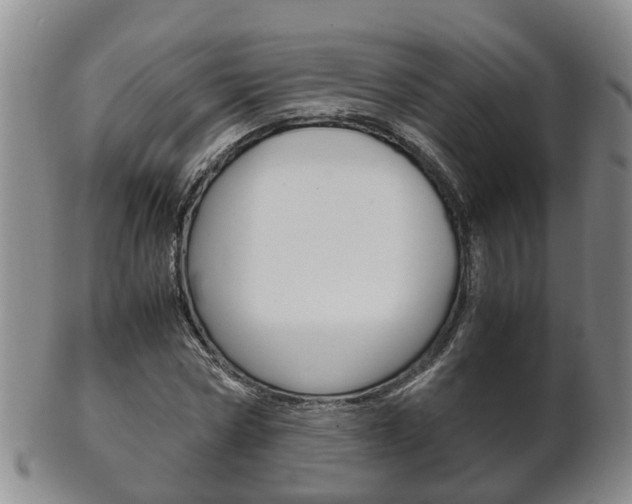 X0000102510778200808081006