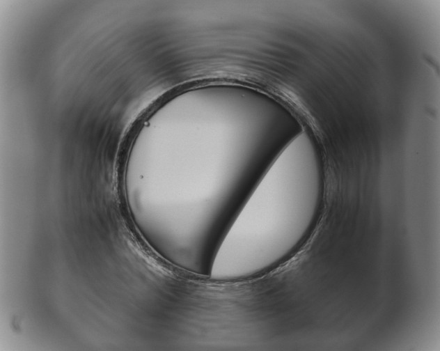 X0000102510780200808081006