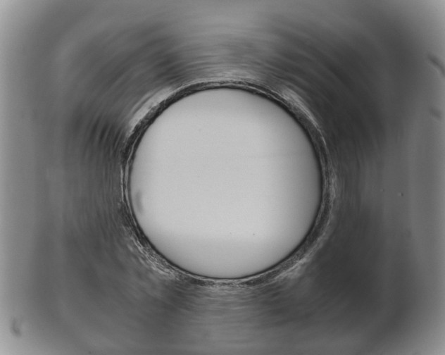 X0000102510781200808081006