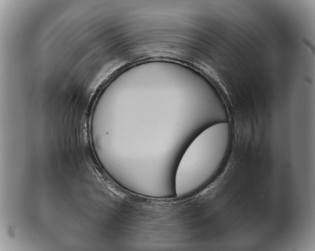 X0000102510782200808081006
