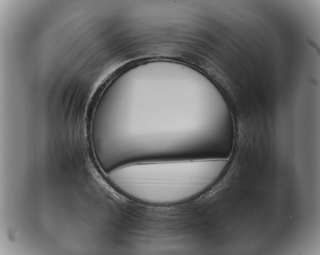 X0000102510784200808081006