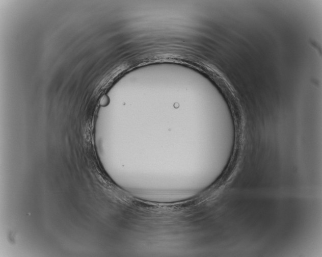 X0000102510785200808081006