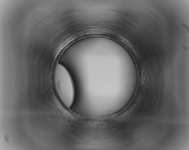 X0000102510786200808081006