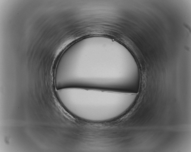 X0000102510787200808081006