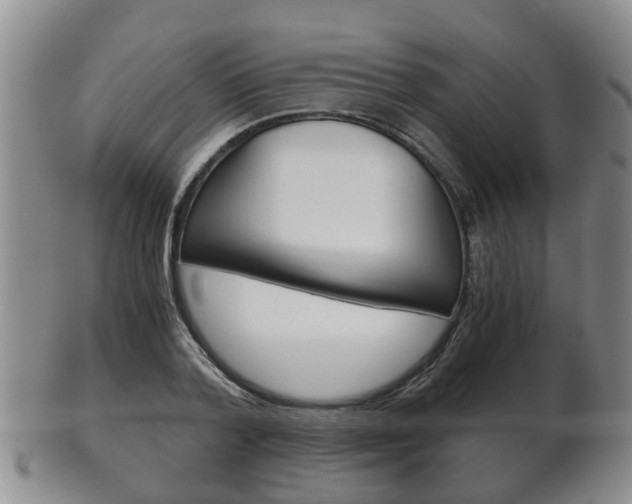 X0000102510788200808081006