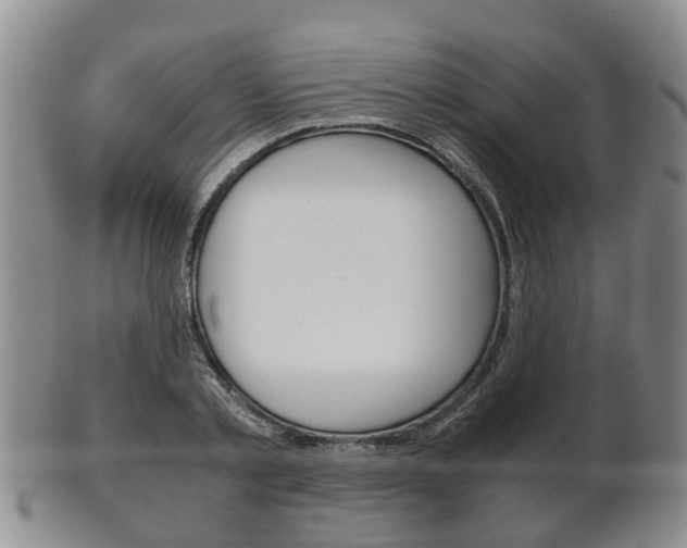X0000102510789200808081006