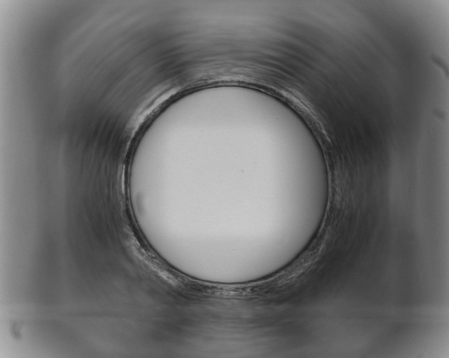 X0000102510790200808081006