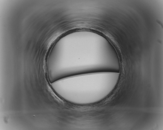 X0000102510791200808081006