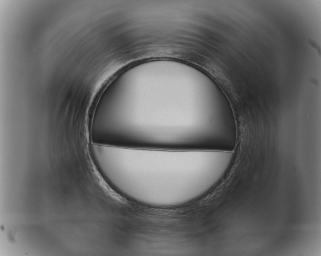 X0000102510792200808081006