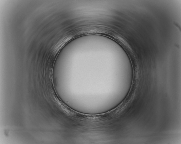 X0000102510793200808081006