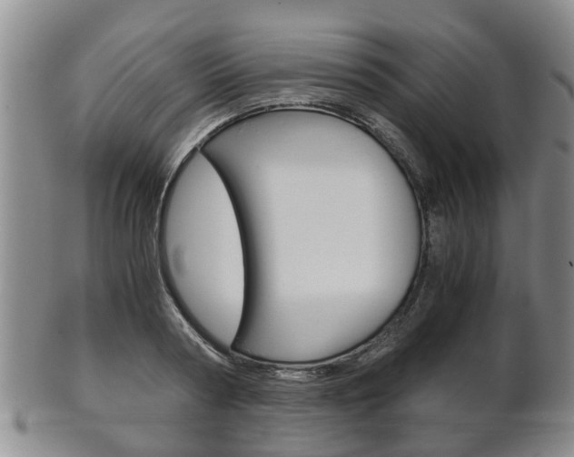 X0000102510794200808081006