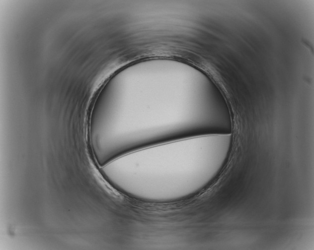 X0000102510795200808081006