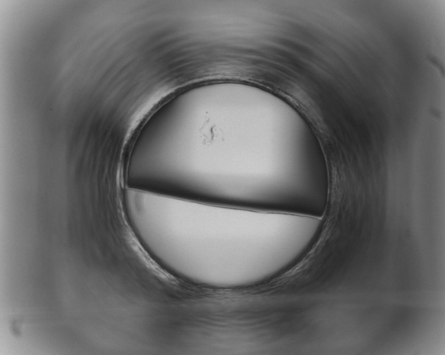 X0000102510796200808081006