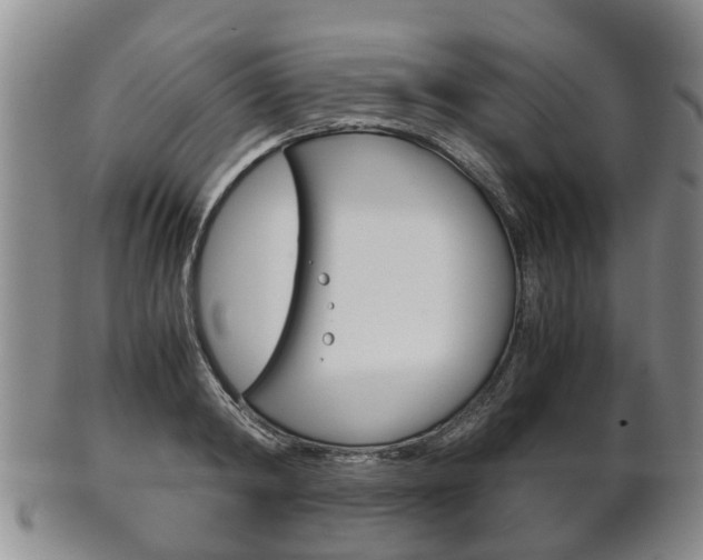 X0000102510798200808081006