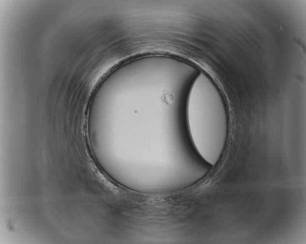 X0000102510799200808081006