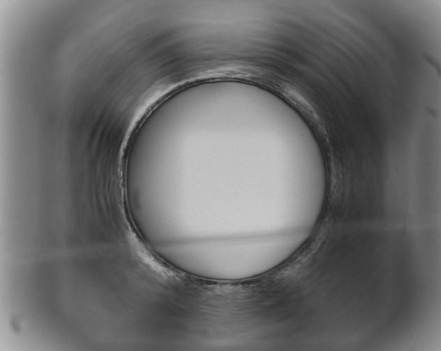 X0000102510800200808081006