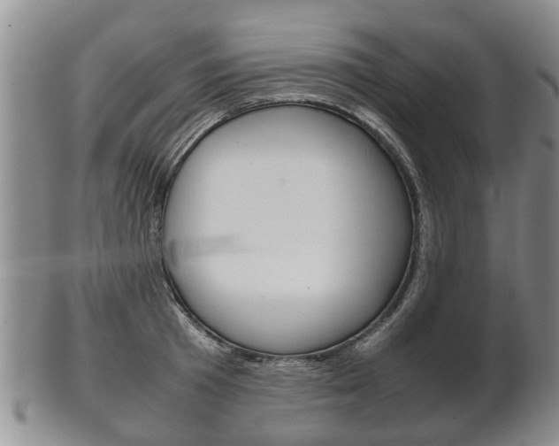 X0000102510801200808081006