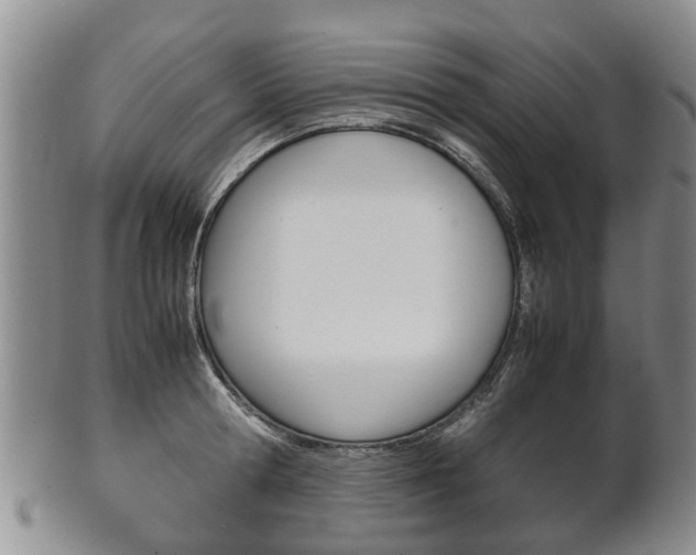 X0000102510802200808081006