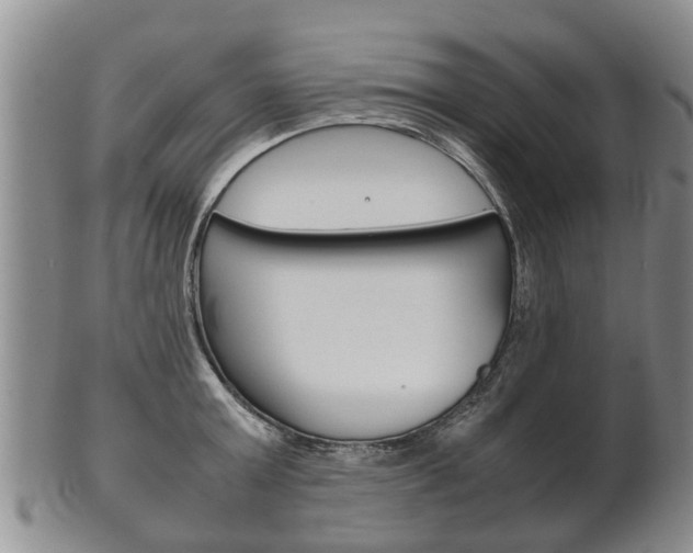 X0000102510803200808081006