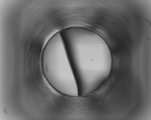 X0000102510804200808081006