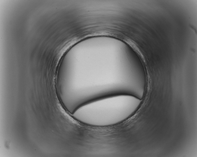 X0000102510805200808081006