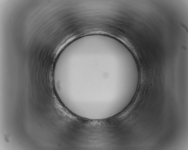 X0000102510806200808081006