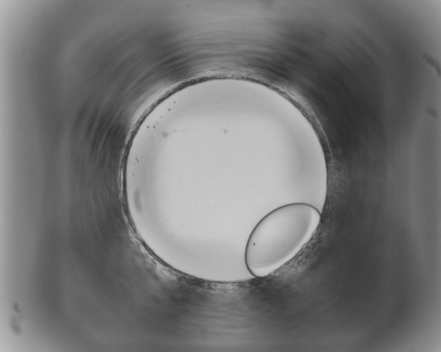 X0000102510807200808081006
