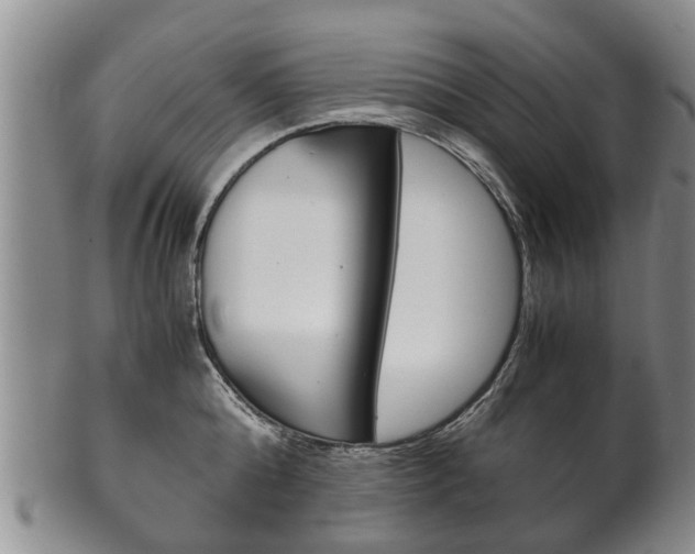 X0000102510808200808081006
