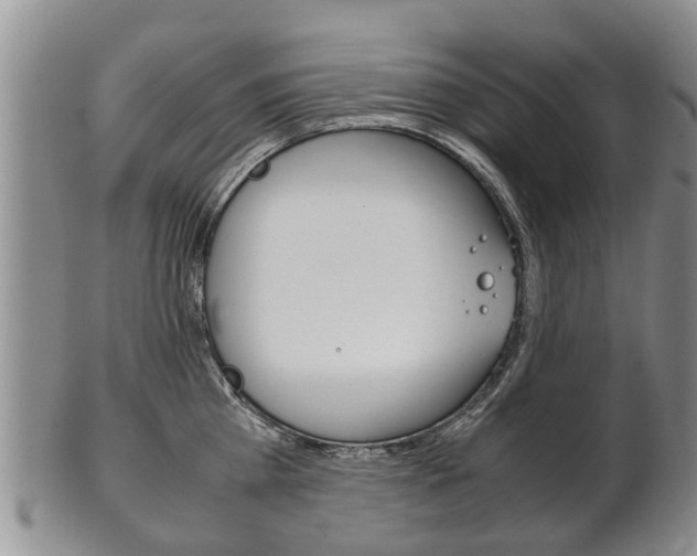 X0000102510809200808081006