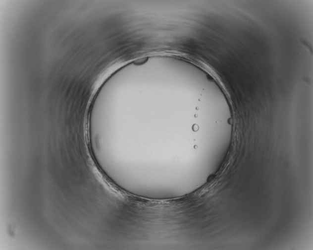 X0000102510811200808081006