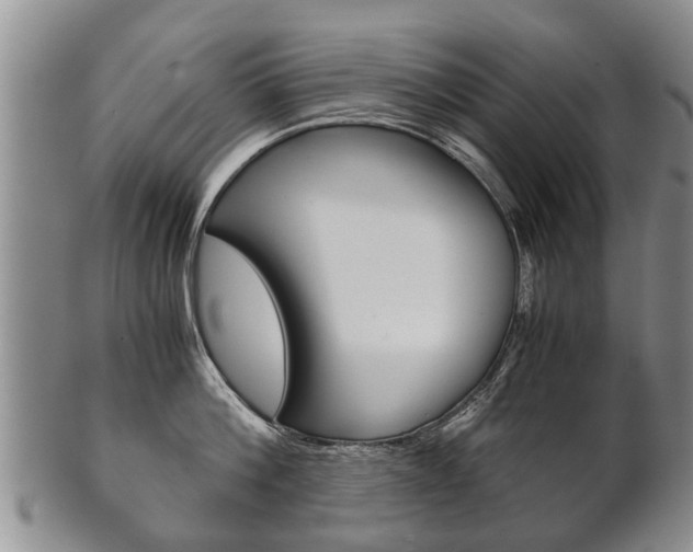 X0000102510812200808081006