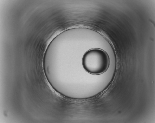X0000102510813200808081006