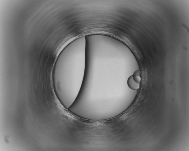 X0000102510814200808081005