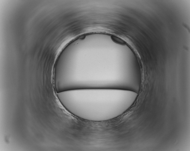 X0000102510815200808081005