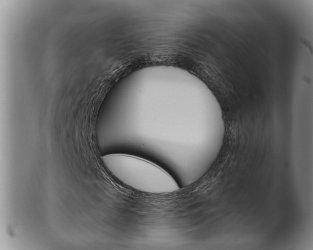 X0000102510817200808081005