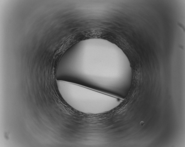 X0000102510818200808081005