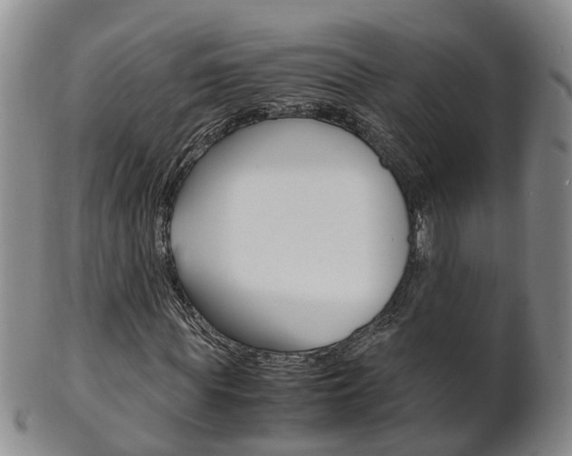 X0000102510819200808081005