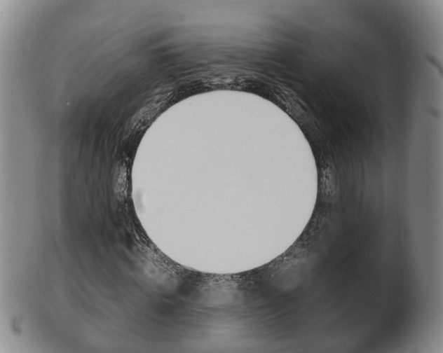X0000102510820200808081005