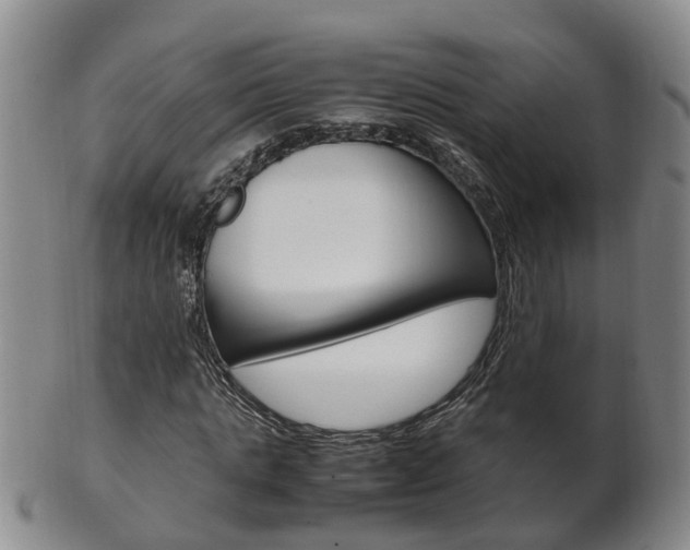 X0000102510821200808081005