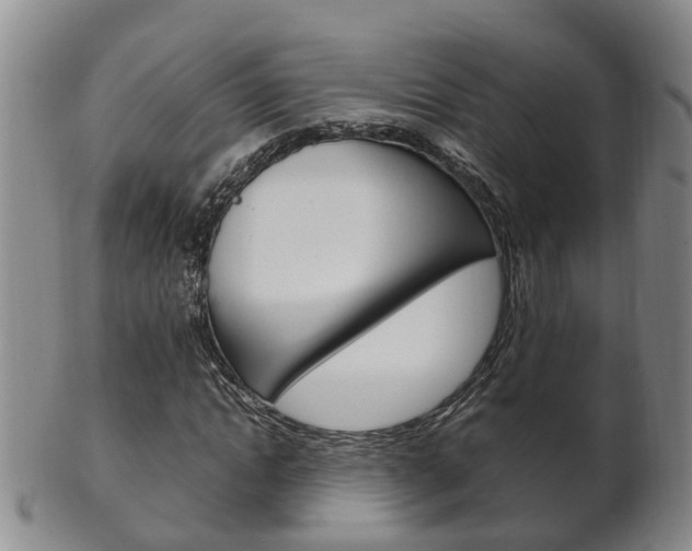 X0000102510822200808081005