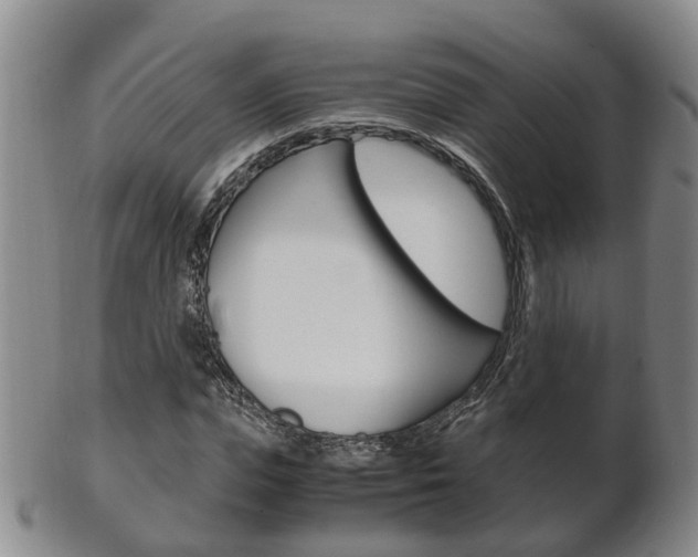 X0000102510823200808081005