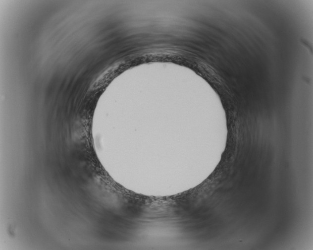 X0000102510824200808081005