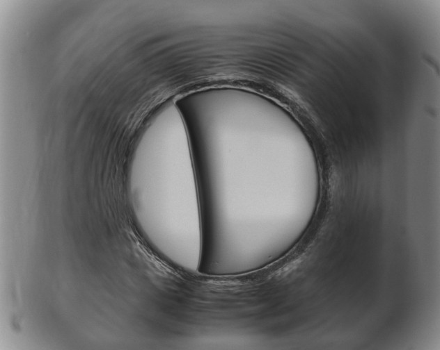 X0000102510825200808081005